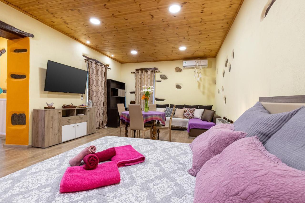 Apartment Zois Stone House *