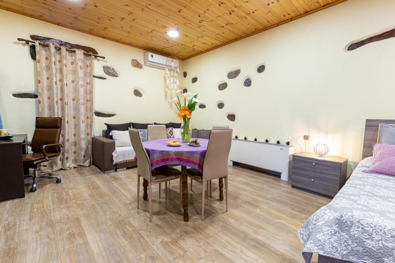 Apartment Zois Stone House