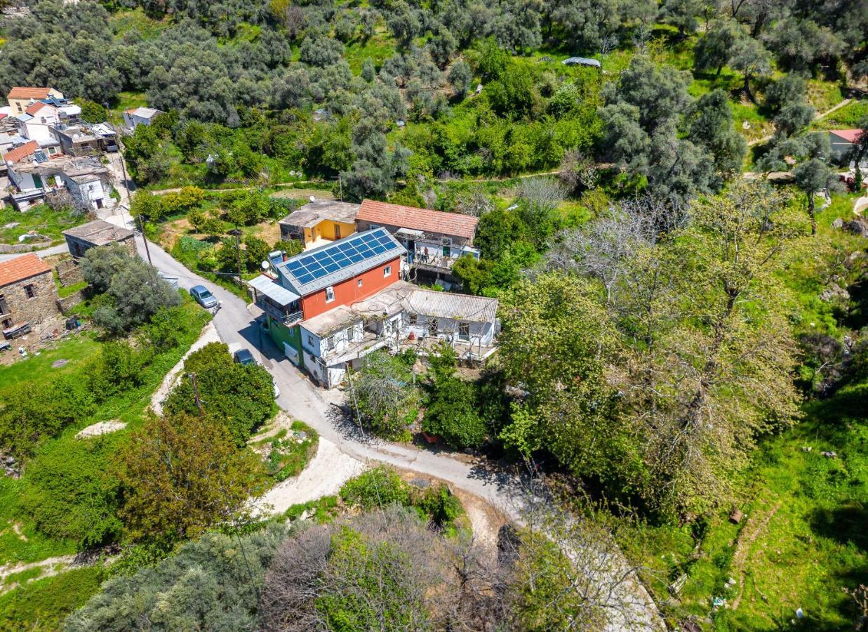 Daire Zois Stone House