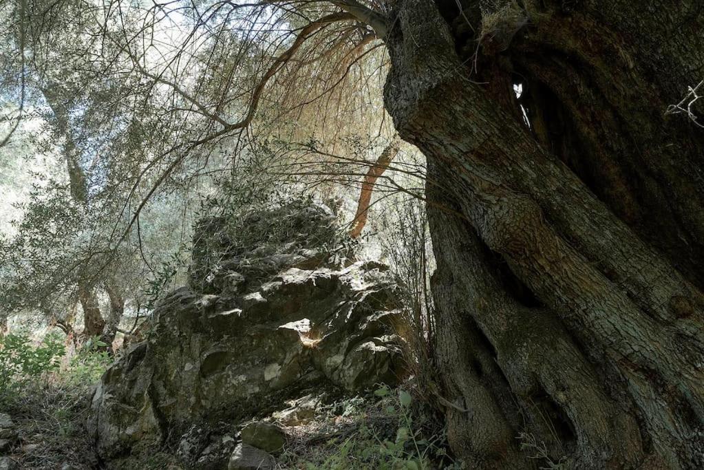 Zois Stone House * Kántanos